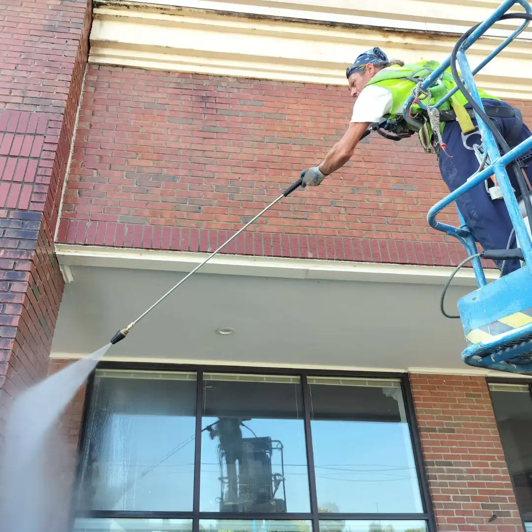 home1 Biochar & Agricultural Direct Air Capture